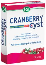 Cranberry cyst (nocyst) 30 capsules