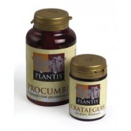 Artesania Agr&iacute;cola Bilobis Plantis Ginko 60 capsules